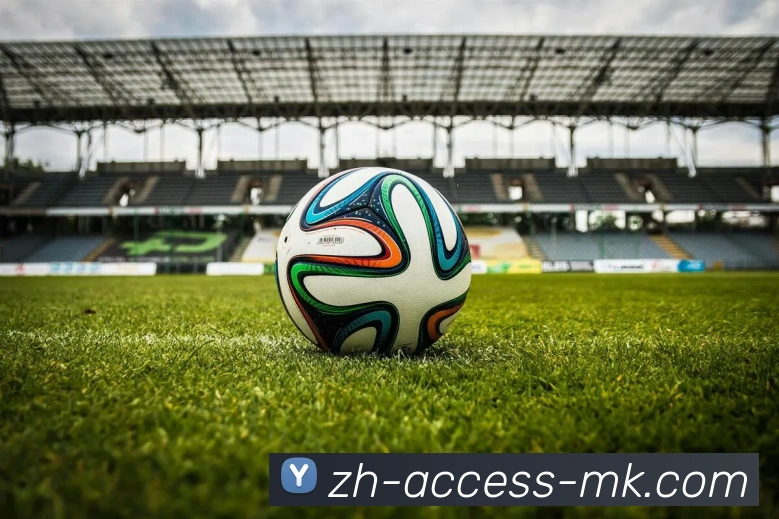 MK体育平台生态图